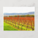 Suche nach rebe postkarten Weingut