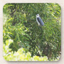 Suche nach hinterhof untersetzer Natur