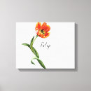 Suche nach tulpe blumen kunst Orange