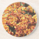 Suche nach maus untersetzer Mäuse