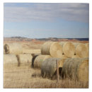 Suche nach heu fliesen Landschaft