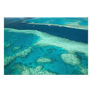 Suche nach australien australasien poster Tauchboot