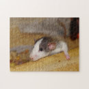 Suche nach niedliche ratte puzzle Maus