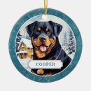 Suche nach hundeschlitten ornamente Urlaub