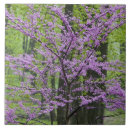 Suche nach voll fliesen Rosa