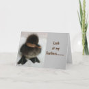 Suche nach komische karten Lustig