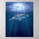 Suche nach haifische poster Meer