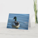 Suche nach drake karten Fotografie