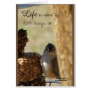 Suche nach kleinigkeiten postkarten Natur