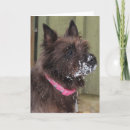 Suche nach snow karten Animals