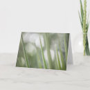 Suche nach grüne pflanze karten Foto