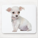 Suche nach chihuahua hund mousepads Welpe