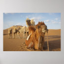 Suche nach mongolia poster Desert