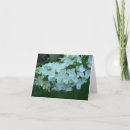Suche nach blüten blüte karten Blumen