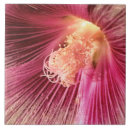 Suche nach holly fliesen Heilig