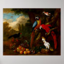 Suche nach macaws poster Vögel
