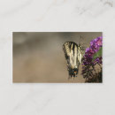 Suche nach gelber schmetterling visitenkarten Frack