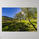 Suche nach weide poster Himmel