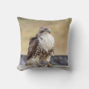 Suche nach falke kissen Wild lebende tiere