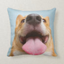 Suche nach corgi kissen Tiere