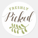 Suche nach biologisch aufkleber Nahrung