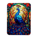 Suche nach peacock magnete Bunt