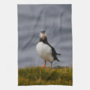 Suche nach puffin geschirr tücher Vogelvogel