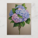 Suche nach lila hydrangea postkarten Natur
