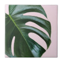 Suche nach tropische palmen fliesen Monstera