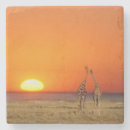 Suche nach namibia untersetzer Paar