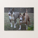 Suche nach bull terrier puzzle Haustier