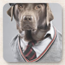 Suche nach schokolade labrador untersetzer Tiere
