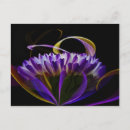 Suche nach lila blüte postkarten Natur