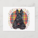 Suche nach mein schottischer terrier postkarten Scottie