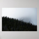 Suche nach immergrüne poster Natur