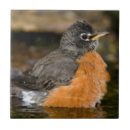 Suche nach marion fliesen Niemand