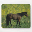 Suche nach wilder mustang mousepads Foto