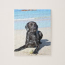 Suche nach kugel puzzle Im freien
