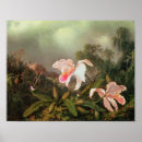 Suche nach martin johnson heade poster Vogel