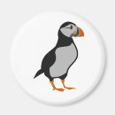 Suche nach puffin magnete Cartoon