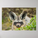 Suche nach flüstern poster Wildnis