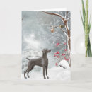 Suche nach weimaraner postkarten Jagd