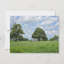 Suche nach lexington postkarten Kentucky