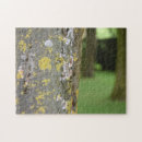 Suche nach natur puzzle Fotografie