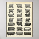 Suche nach vintage farm poster Antike