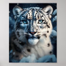 Suche nach schneeleoparden poster Wildkatze