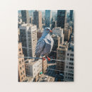 Suche nach tauben puzzle Stadt