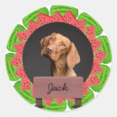 Suche nach hundeknochen aufkleber Für haustiere