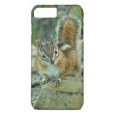 Suche nach chipmunks iphone hüllen Tierwelt