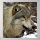 Suche nach profil poster Natur